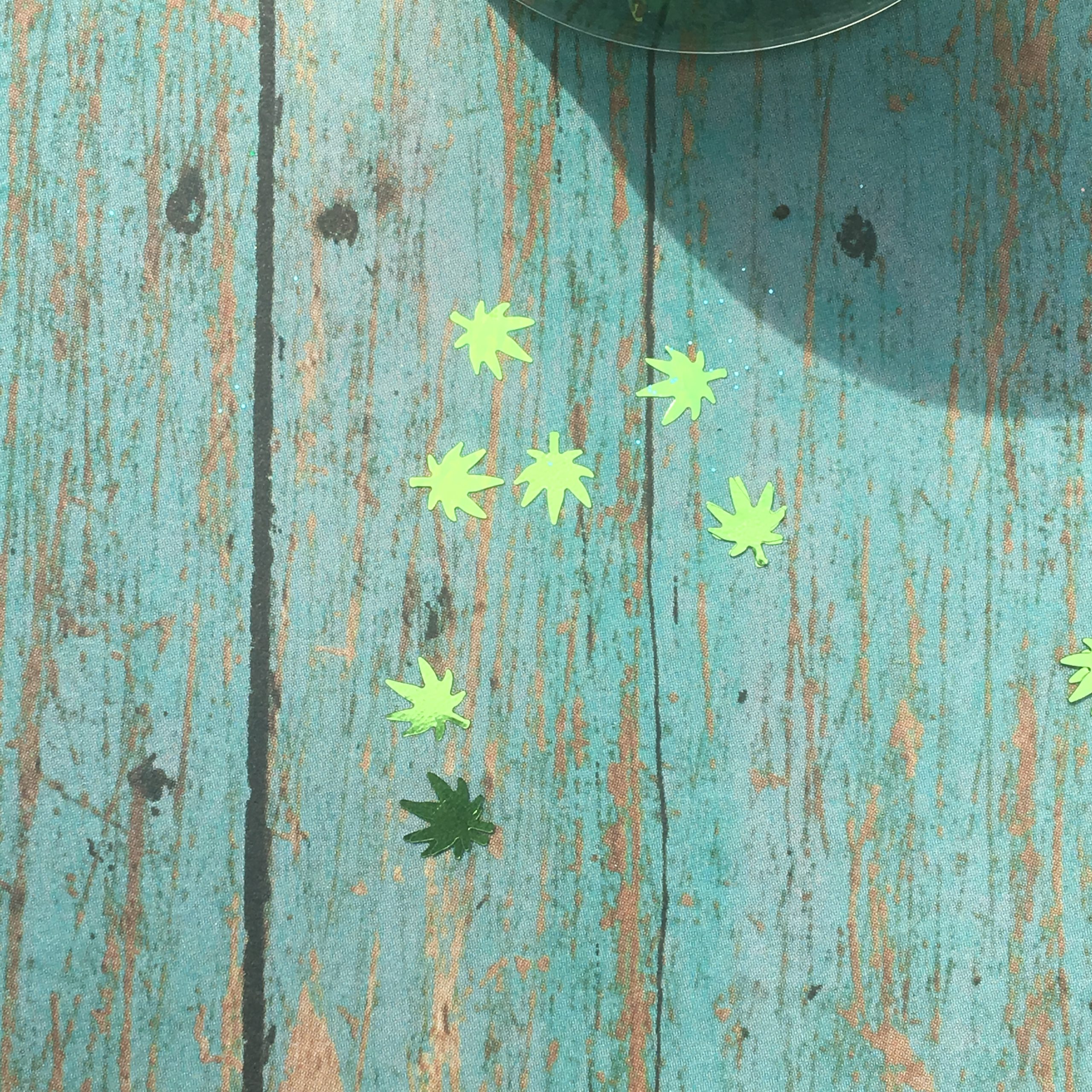 Snoop - Image 3