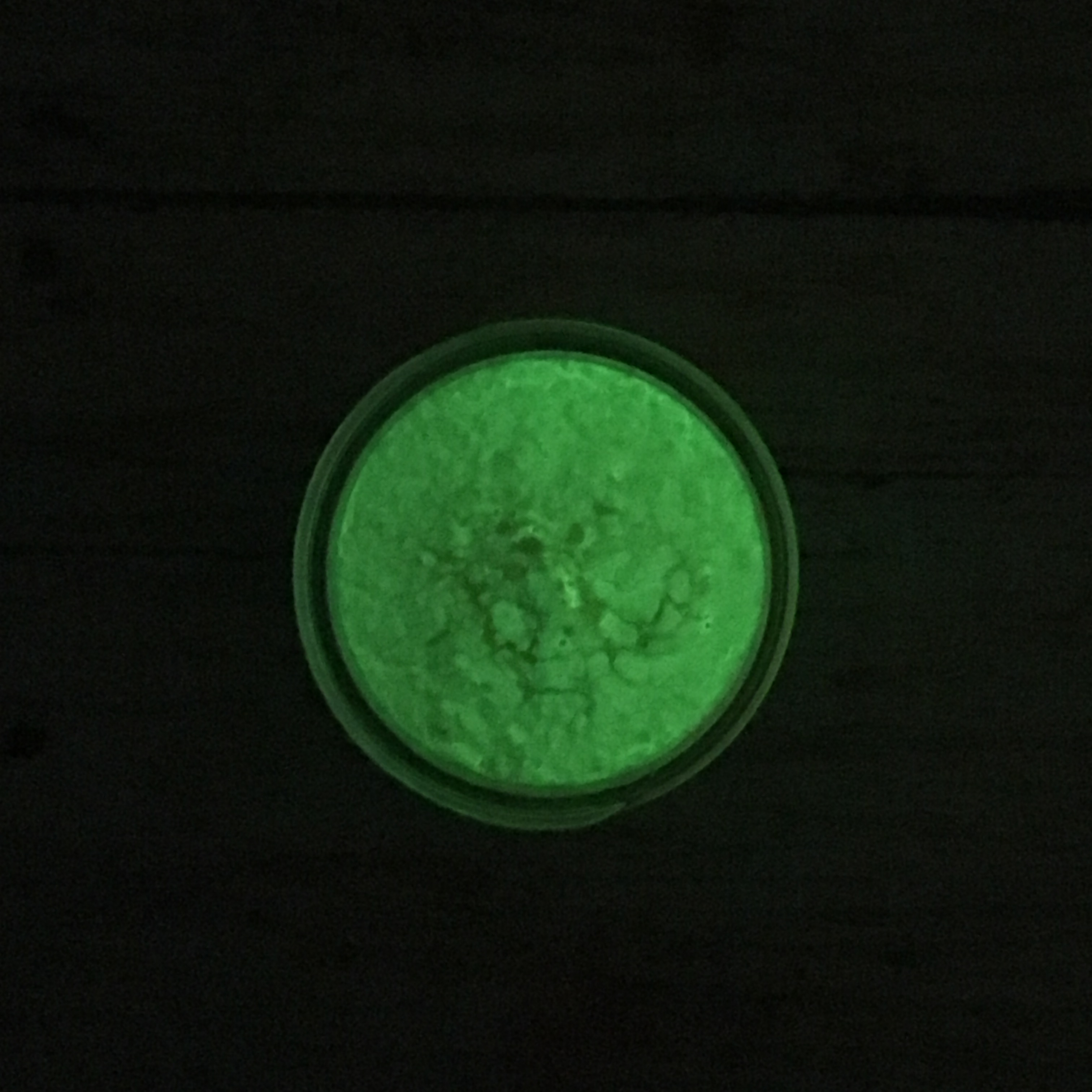 Neon Green GlowintheDark powder Glitt 'er Done!, LLC