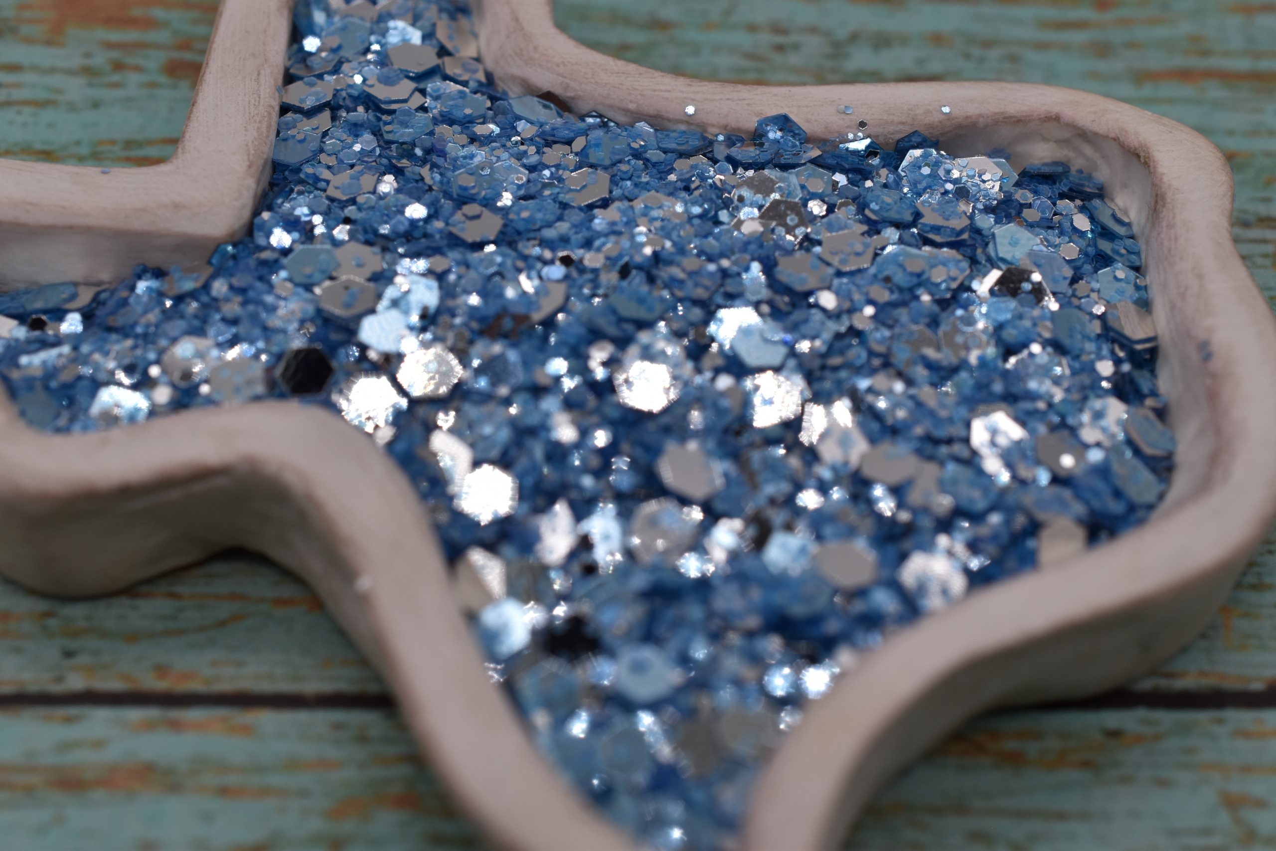 Arkey Blue's Silver Dollar - Image 2